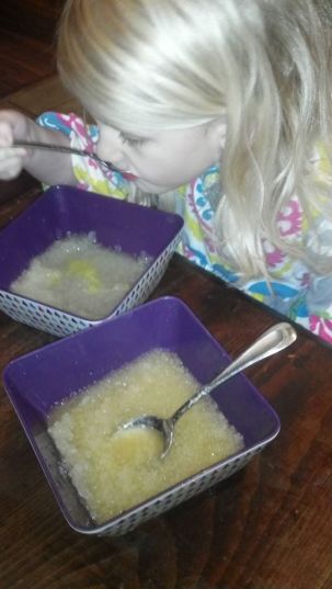 jan 28 2014 citrus snow