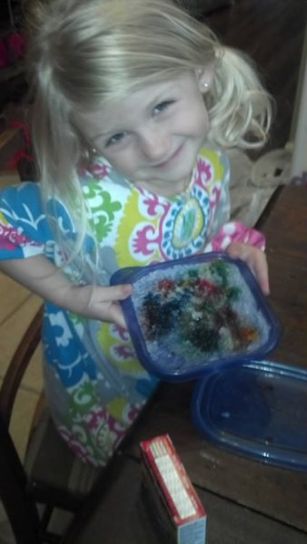 Jan 28 2014 snow art