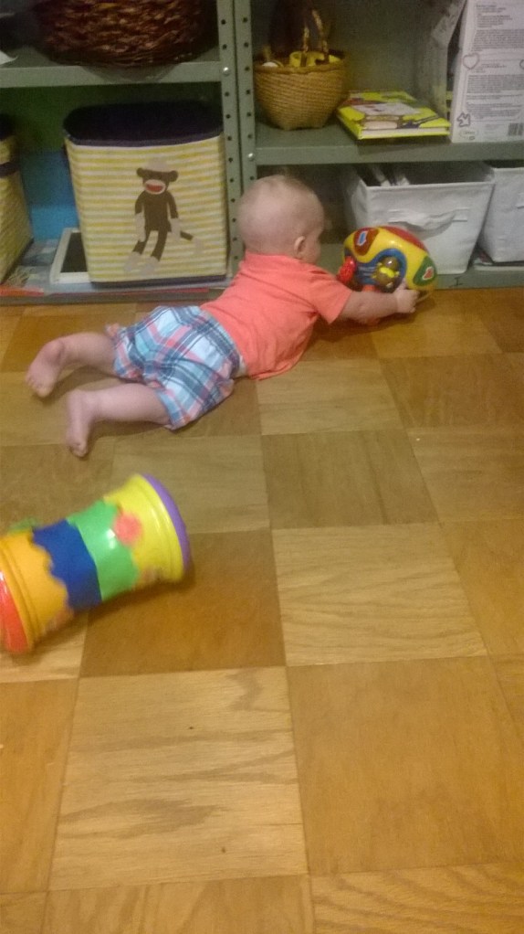 WP_20150805_17_00_52_Pro