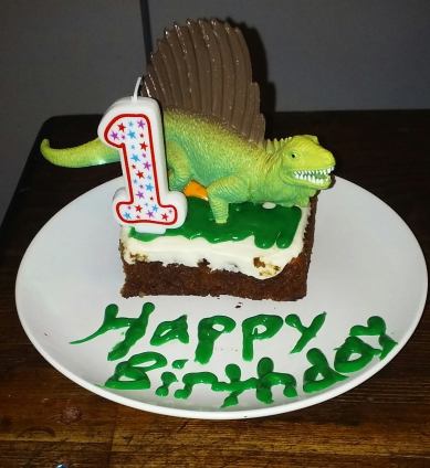 11224887_10205210284800575_7140955420047829173_o