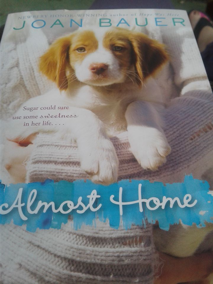 17796756_10208734874593117_5127999643134022650_n