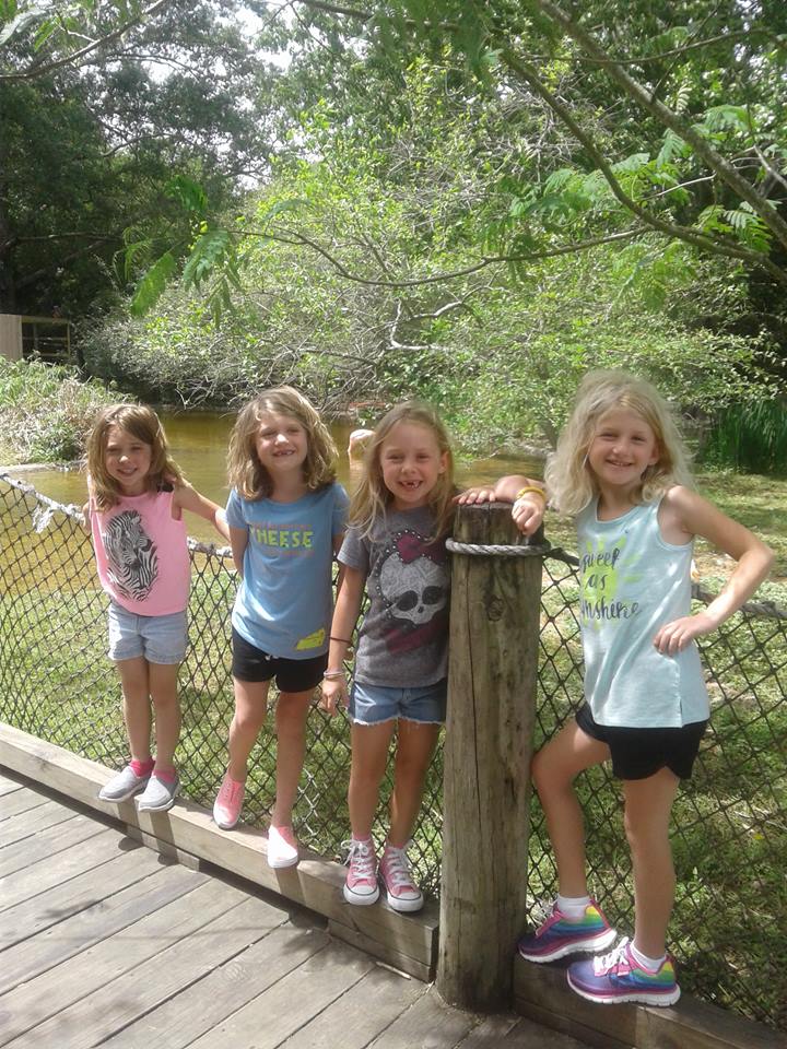 17952438_10208832717919139_5981504977382872299_n