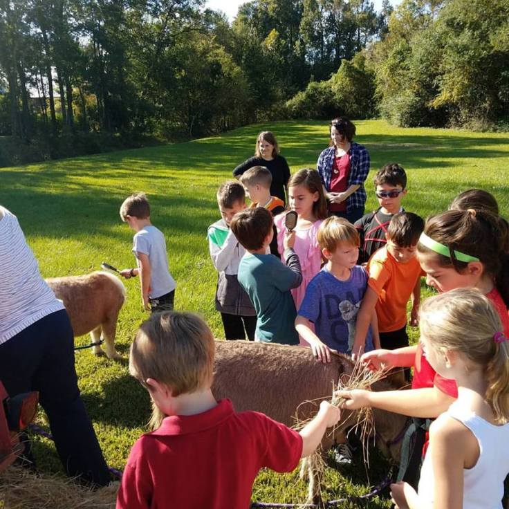 co op animal science