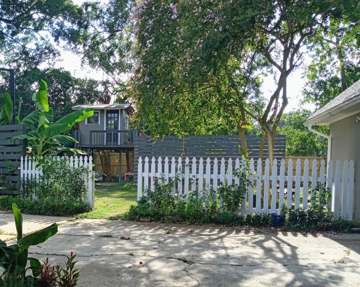 new house garden July 2019